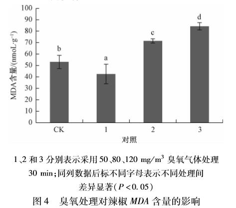臭氧對辣椒種子萌發及生理指標的影響